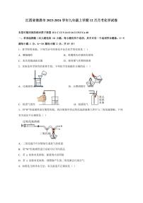 江西省南昌市2023-2024学年九年级上册12月月考化学试卷（附答案）