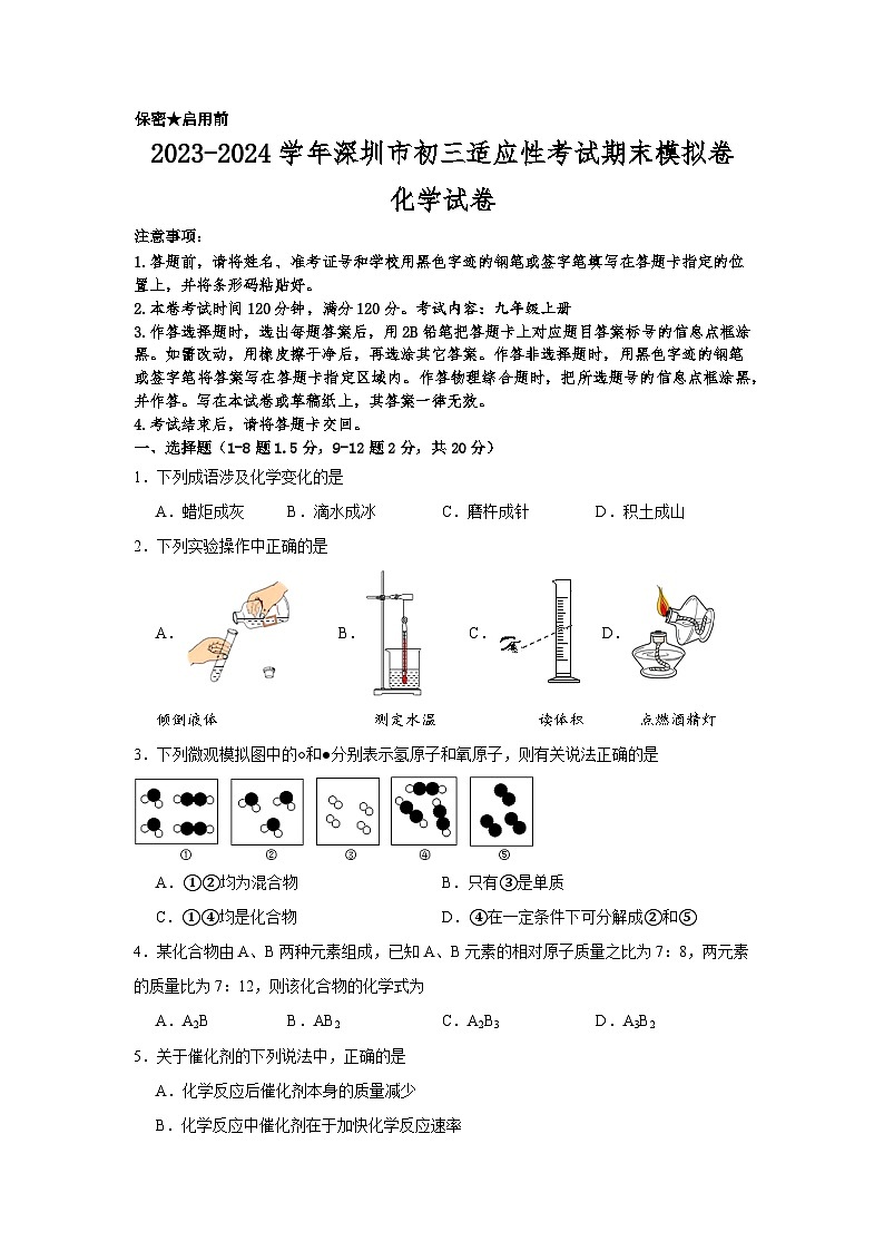 广东省深圳市2023-2024学年九年级上学期适应性考试期末模拟化学试卷第1页