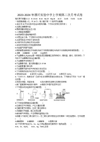 河南省漯河实验中学2023-2024学年九年级上学期第二次月考化学试卷