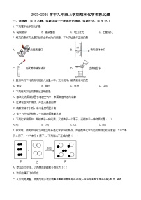 江苏省宿迁市2023-2024学年九年级上学期期末模拟化学试题