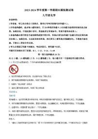 广东省深圳市宝安中学（集团）2023-2024学年九年级上学期期末化学模拟试卷