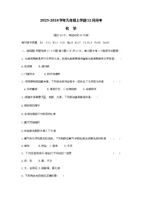 河南省商丘市2023-2024学年九年级上学期12月月考化学试题