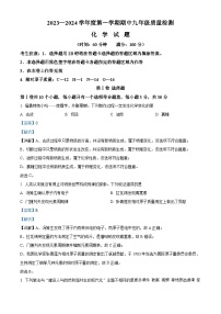 福建省宁德市福鼎市2023-2024学年九年级上学期期中质量检测化学试题（解析版）