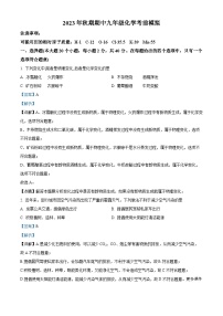 河南省南阳市内乡县2023-2024学年九年级上学期期中考前模拟化学试卷（解析版）