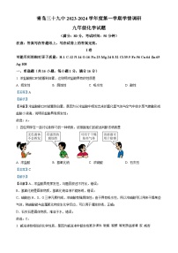 山东省青岛市第三十九中学2023-2024学年九年级上学期12月月考化学试题（解析版）