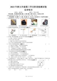 湖南省长沙市雅礼教育集团2023-2024学年九年级上学期第三次月考化学试题