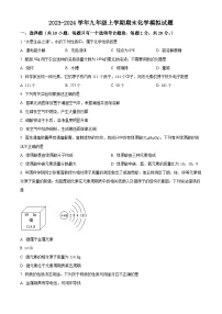 江苏省宿迁市2023-2024学年九年级上学期期末化学模拟试题