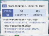 【人教版】九下化学  10.1 常见的酸和碱（第1课时）（课件+教案+导学案+分层练习）