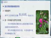 【人教版】九下化学  10.1 常见的酸和碱（第1课时）（课件+教案+导学案+分层练习）
