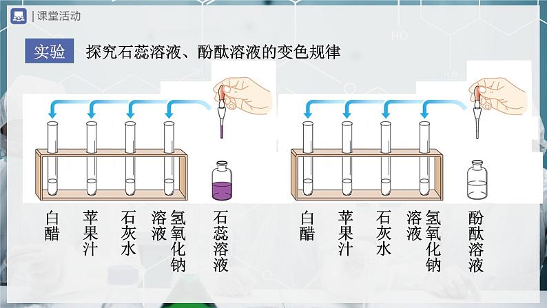 10.1-1常见的酸和碱（第1课时）(教学课件) 第7页