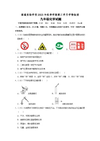 四川省自贡市蜀光绿盛实验学校2023-2024学年九年级上学期12月月考化学试题