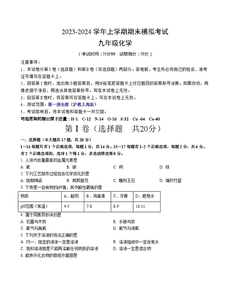 九年级化学期末模拟卷01（考试版A4）【测试范围：沪教上海版第一册全部】第1页