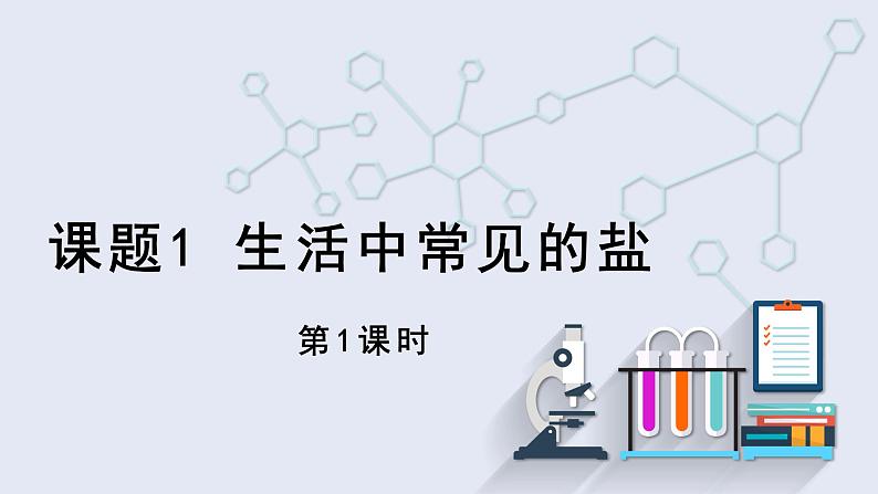 11.1 生活中常见的盐 第1课时 课件 2023-2024学年人教版化学九年级下册01