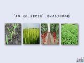 11.2 化學(xué)肥料 課件 2023-2024學(xué)年人教版化學(xué)九年級下冊