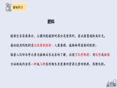 11.2 化學(xué)肥料 課件 2023-2024學(xué)年人教版化學(xué)九年級下冊