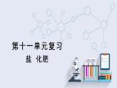 第十一單元復習 課件 2023-2024學年人教版化學九年級下冊