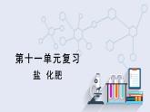 第十一单元复习 课件 2023-2024学年人教版化学九年级下册