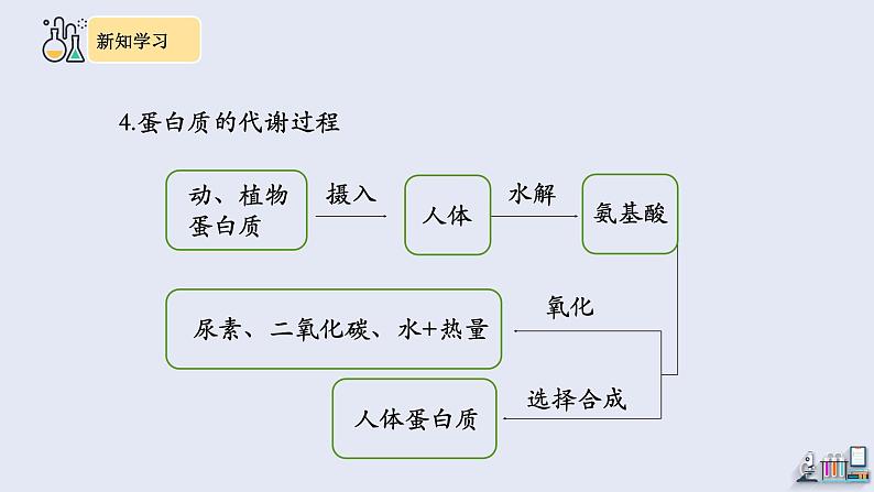 12.1 人类重要的营养物质 课件 2023-2024学年人教版化学九年级下册08