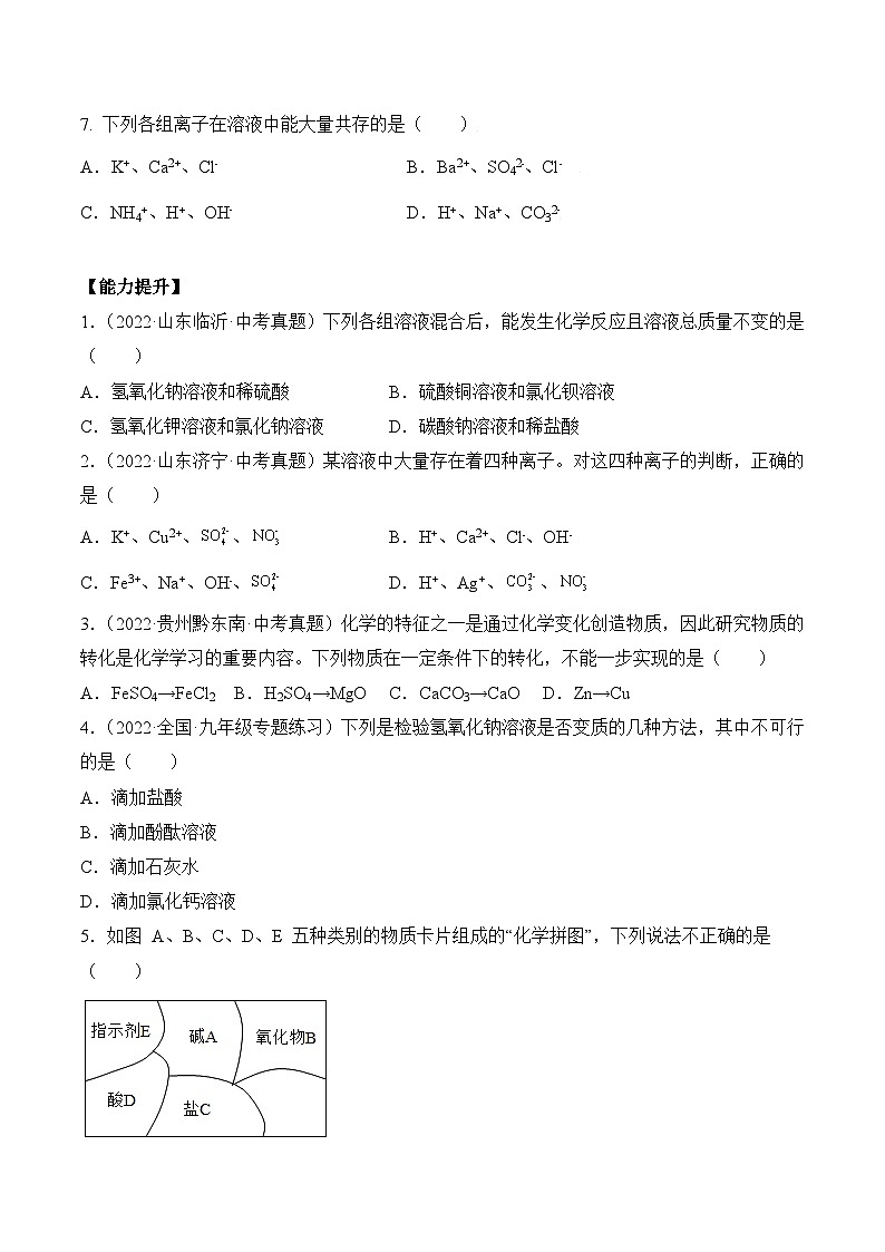人教版九年级化学下册同步精品练习 《生活中常见的盐》第3课时分层作业（原卷版+教师版）02
