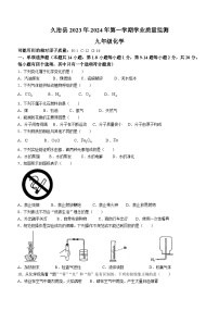 青海省果洛州久治县2023-2024学年九年级上学期期末考试化学试题