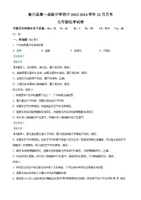 河南省南阳市淅川县第一高级中学附属初中2023-2024学年九年级上学期12月月考化学试题