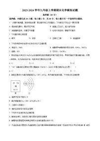 江苏省扬州市宝应县2023-2024学年九年级上学期期末模拟化学试题