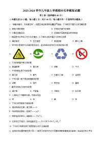 江苏省扬州市邗江区2023-2024学年九年级上学期期末模拟化学试题