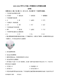 江苏省扬州市江都区2023-2024学年九年级上学期期末模拟化学试题