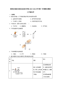 陕西省商洛市镇安县部分学校2023-2024学年九年级上学期期末模拟化学试卷