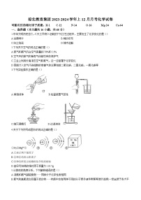 四川省成都市武侯区棕北中学2023-2024学年九年级上学期12月月考化学试题(无答案)