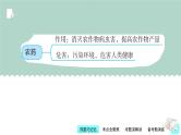 第13讲 化学与农业生产-【精美课件】备战2023年中考化学一轮复习课件