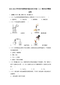 贵州省黔南州惠水县2023-2024学年九年级上学期期末模拟化学试卷