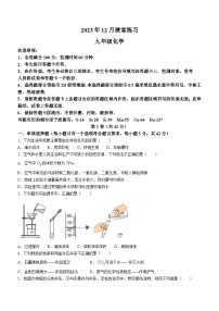 四川省成都市高新区联考2023-2024学年九年级上学期12月课堂练习化学试题