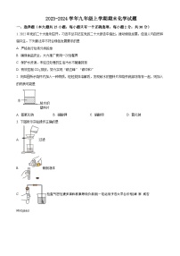 江苏省盐城市2023-2024学年九年级上学期期末模拟化学试题