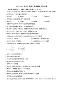 江苏省盐城市景山中学 2023-2024学年九年级上学期期末模拟化学试题