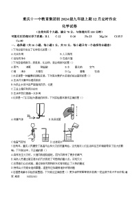 重庆市第十一中学2023-2024学年九年级上学期12月月考化学试卷(无答案)