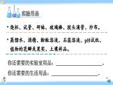 人教版九年级化学下册课件 第十单元 实验活动七 溶液酸碱性的检验
