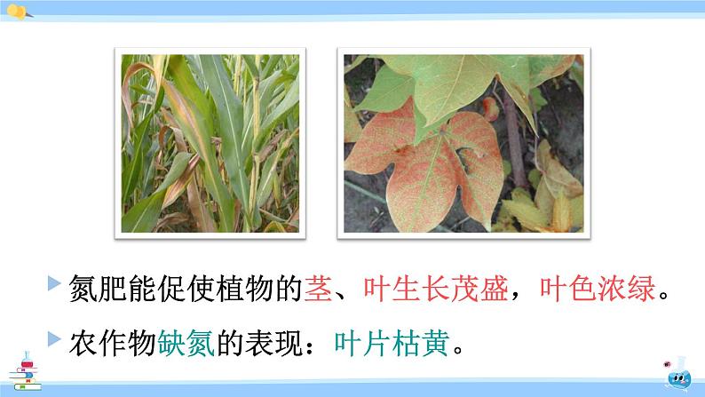 人教版九年级化学下册课件 第十一单元 课题2 化学肥料07