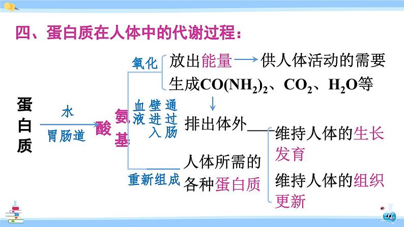 人教版九年级化学下册课件 第十二单元 课题1 人类重要的营养物质07