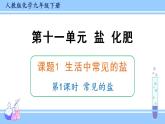 人教版九年级化学下册课件 第十一单元 课题1 第一课时 常见的盐