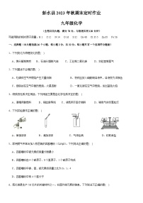 重庆市彭水县2023-2024学年九年级上学期期末定时作业化学试题