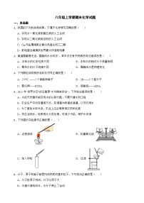 山东省烟台莱阳市2023年八年级上学期期末化学试题附答案