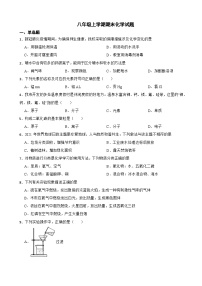 山西省朔州市2023年八年级上学期期末化学试题附答案