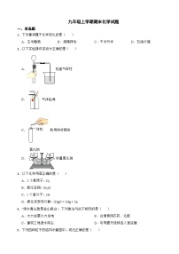 四川省成都市2023年九年级上学期期末化学试题附答案