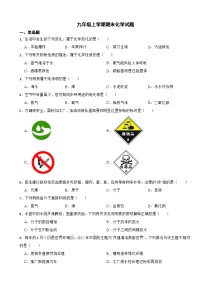 云南2023年九年级上学期期末化学试题附答案