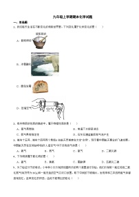 云南省楚雄州2023年九年级上学期期末化学试题附答案