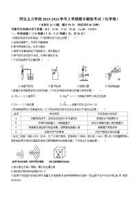 广东省深圳市龙岗区龙岗街道同乐主力学校2023-2024学年九年级上学期期末模拟预测化学试题(无答案)