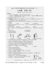 广西壮族自治区来宾市2023-2024学年九年级上学期1月月考化学试题