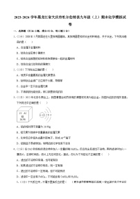 黑龙江省大庆市杜尔伯特县2023-2024学年九年级上学期期末模拟化学试卷