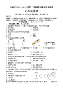 吉林省吉林市丰满区2023-2024学年九年级上学期期末考试化学试题